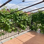 Hrnjic Apartmán Umag